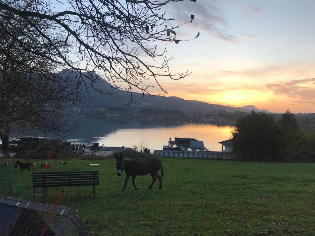 Ferienwohnung Lechnerhof Tiefgraben Exteriör bild